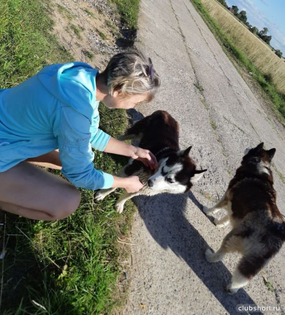 68626_wiw1mtrobwi.jpg